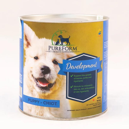 Development: Puppy