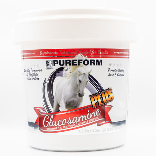 Glucosamine Plus