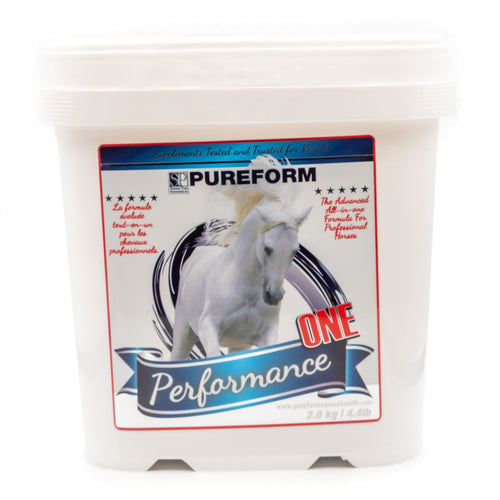 Performance One